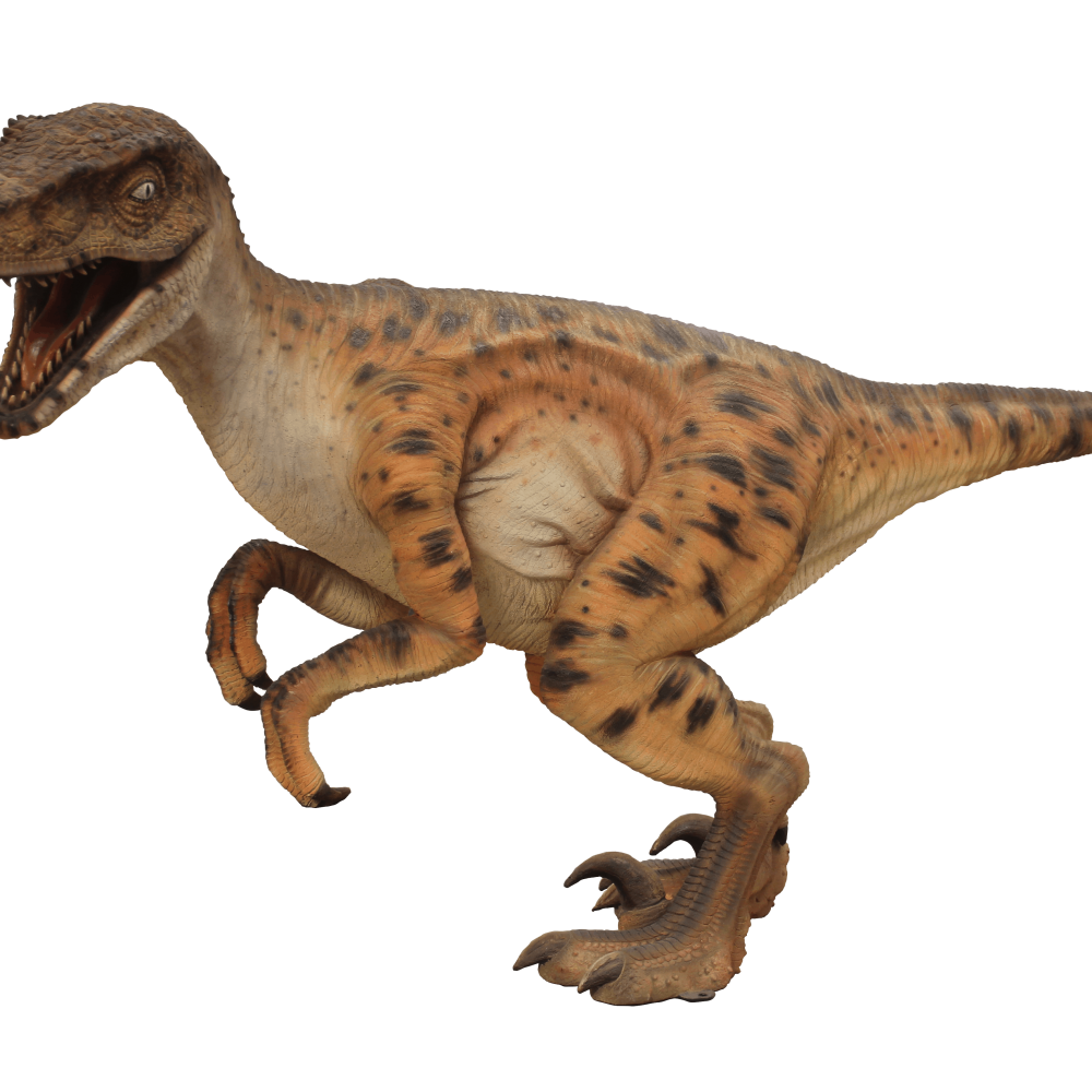 פסל של דינוזאור ולוקרפטור