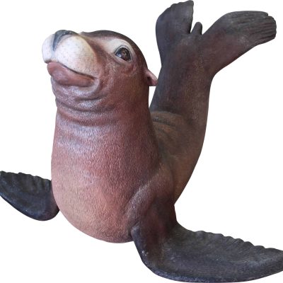 פסל של כלב ים חדש